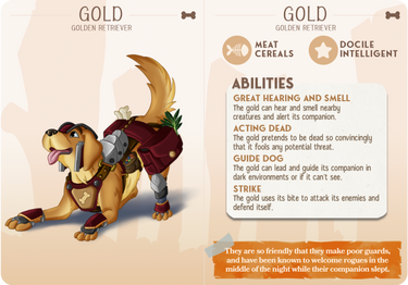 Gold the Golden Retriever